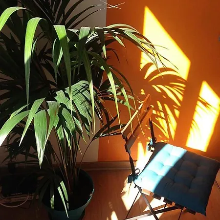 Apartman Charm & Comfort A Montmartre *
